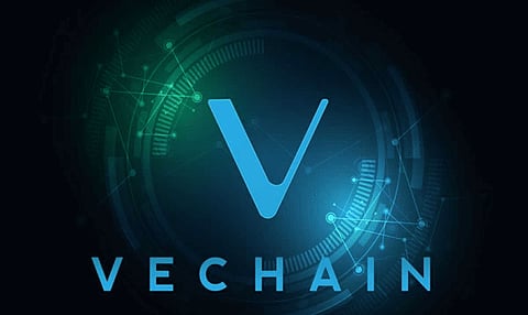 VeChain (VET) and Pepe (PEPE) Traders Rally Behind Pushd’s (PUSHD) $0.125 Presale, Eyeing Potential 100X in E-Commerce Innovation