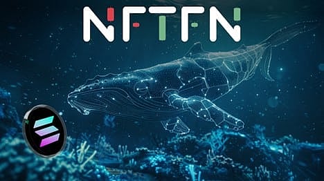 Whales Who Made $2M in Top Solana Meme Coin Are Investing in This Presale Token