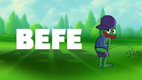 Investor’s Dilemma: SLERF, Shiba Inu, or BEFE Coin—Which Holds the Most Promise?