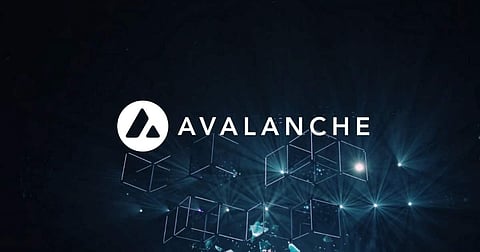 Avalanche Whale Looks To Flip $100,000 to $1,500,000 With New 1000x Token Priced $0.0181