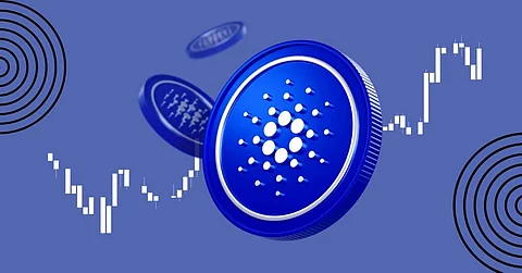 Cardano (ADA) Guru Explains ADA Price Drop, Investors Join New ADA Rival Priced $0.002
