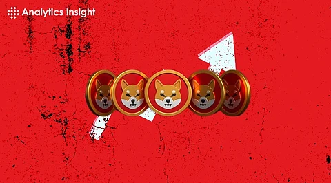 Shiba Inu SHIB Holds Ground Amid Market Uncertainty