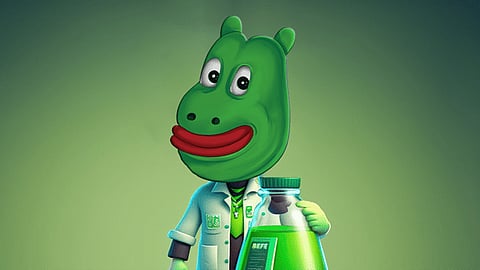 From Obscurity to Prominence: The Potential of BEFE Coin in the Crypto Market