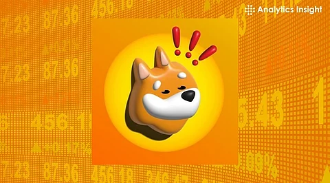Bonk Cryptocurrency is Gaining Traction, But Why?