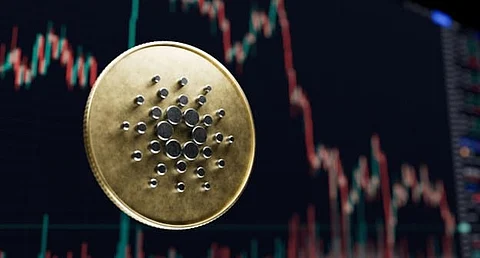 Cardano (ADA) and Pepe (PEPE) Altcoins To Watch This Month; Analyst Bullish on InQubeta (QUBE) – Is This the Next 100X Gem?