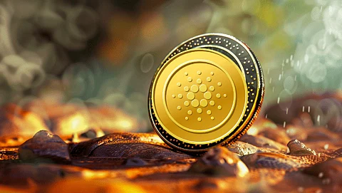 Cardano Is Old and Tired; Swap Your ADA to These 3 Coins for 30X Returns in the Upcoming Bull Run