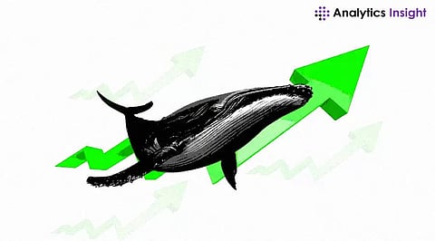 Bitcoin Whales Move Nearly US$2 Billion Worth BTC