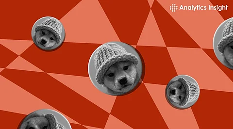 Dogwifhat Drops 2.74% in 24 Hours; $5 Dream Ends Here?
