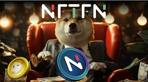 From Dogecoin to Fortune: What’s Next for Crypto Millionaires