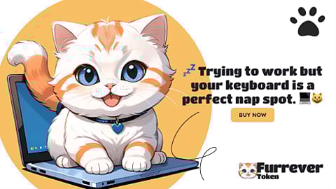 Why Furrever Token Is the Top Crypto Investment for 2024, Outpacing Pepe Coin (PEPE) Price Predictions and Floki (FLOKI)