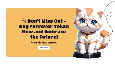 Which Meme Coin Will Reign Supreme in 2024: Pepe Coin (PEPE), FLOKI (FLOKI), Bonk (BONK), or Furrever Token (FURR)?