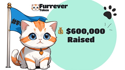 Solana (SOL) and Bonk (BONK) Feel the Heat, While Furrever Token (FURR) Awaits Lift-off Post-Presale Surge