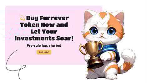 Top 4 Beginner Coins of 2024: A Guide to Polygon (MATIC), Chainlink (LINK), Ripple (XRP), and Furrever Token (FURR) for Maximum Returns