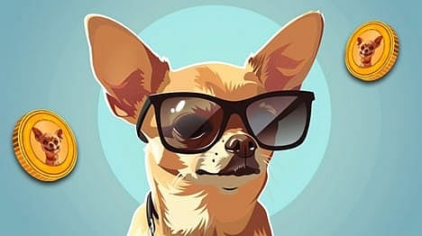 5 Hottest and Trending Solana Meme Coins Right Now: Hump (HUMP), Dogwifhat (WIF), Cat in a Dogs World (MEW), Slerf (SLERF), and Bonk (BONK)