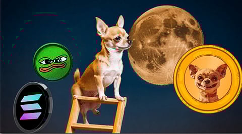 High-Potential Alternative Coin to Solana (SOL) Priced Under $0.03 Will Reach $1 in 3 Months, Says Top Trader Who Predicted Book of Meme (BOME) Rally