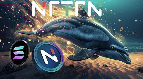 Here’s Why Crypto Whales Believe Both NFTFN and Solana Are the Best Altcoins This Year