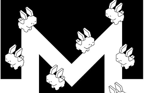 Next Big Crypto Investment: Don’t Miss Raboo (RABT) After BOME & MYRO’s Success