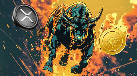 Cardano (ADA) and Ripple (XRP) Considered ‘Poor’ Investments in 2024 Bull Cycle, Analysts Recommend This Coin