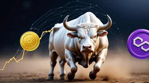 Why Some Investors Are Selling Off Polygon (MATIC) and Cardano (ADA) Before The 2024 Bull Run and Their Next Moves