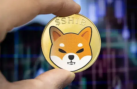 Shiba Inu Price Stabilizes Above $0.000027, Exhibits Recovery
