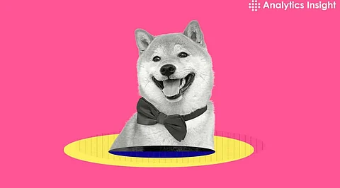 Shiba Inu Price Analysis: Whales Make a Move