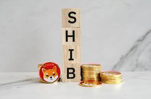 Shiba Inu’s Solidarity Despite 20% Price Fall, AI Crypto Set to Challenge Render’s Reign