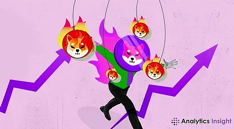 Shiba Inu Burn Rate Fails to Keep Pace with Transactions