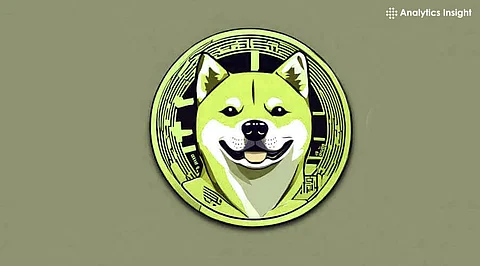 Shiba Inu Price Analysis Amid Shibarium’s 1M Transactions