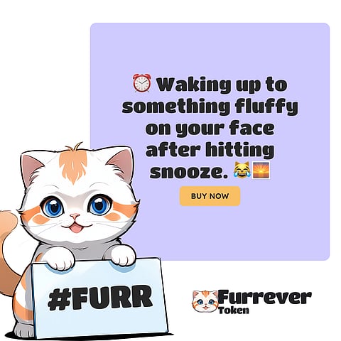 Shiba Inu (SHIB) and Dogecoin (DOGE) Tries to Awake from Slumber as Furrever Token (FURR) Challenges the Biggest Meme Coins for ROI