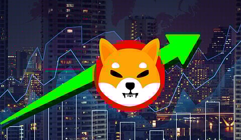 Shiba Inu’s Shibarium Active Accounts Surge 625%, Ali Forecasts $1 for Polygon, Investors Swam To NuggetRush for 100x Gains