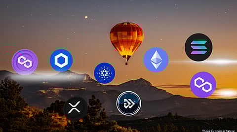 Teenager Makes Millions With Cryptocurrency: Is He Eyeing Algotech Now?