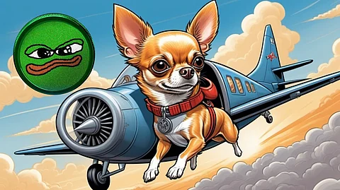 Trending on Crypto Twitter: Hump (HUMP) Gaining Traction as the Next 100x Solana Meme Coin, Smart Money Bullish