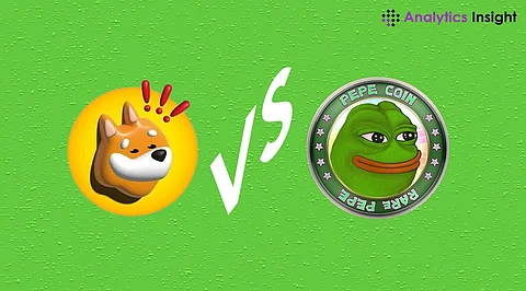 Cryptocurrency to Invest in 2024: BONK vs PEPE