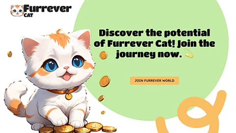 Top 4 Meme Coins Set to Explode in the Second Half of 2024: Pepe Coin (PEPE), FLOKI (FLOKI), Dogwifhat (WIF), and Furrever Token (FURR)