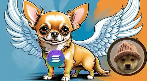 5 Whales Sold $4,300,000 Dogwifhat (WIF) Last Week, All Investing in This Solana Meme Coin With a Market Cap Below $200,000,000 Now