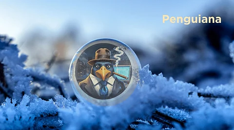 Solana Meme Coin Penguiana Secures $200,000 Seed Round from Nanosprout Ventures