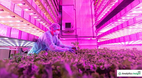 Deserts to Digital Greenhouses