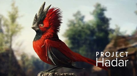 Project Hadar
