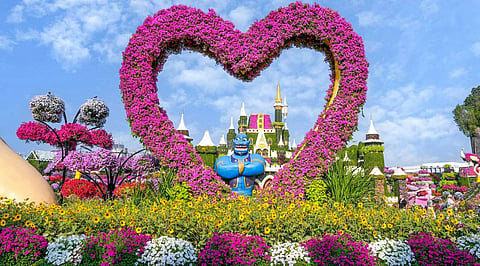 Dubai Miracle Garden Season 15: Free Birthday Tickets, Timings, Prices