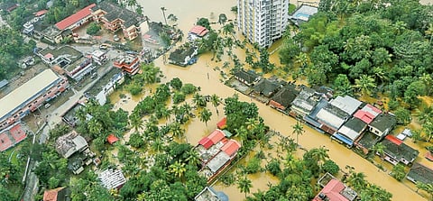 பருக்கைகளில் வாழும் தந்தையின் பெயர்!