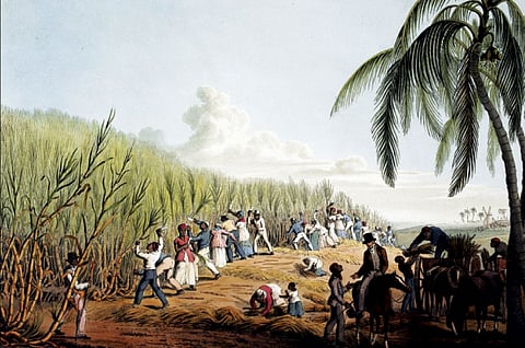 சர்க்கரையின் நிறம் சிவப்பு!