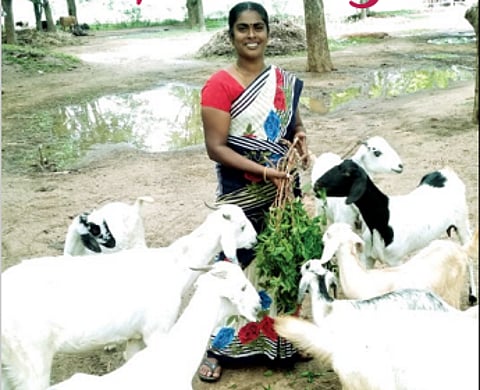 முத்துலட்சுமி