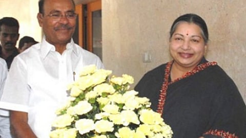 காற்றில் ஆடும் கனி