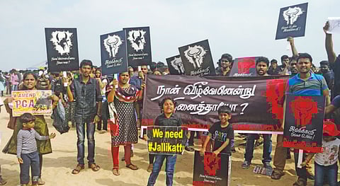 இளைஞர் எழுச்சி