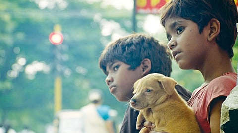 காக்கா முட்டை பொரிக்கவில்லை!