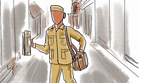 மாம்பழக் குருவிகள் முட்டையிடும் தபால்பெட்டி!