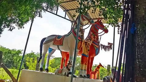 தாத்தாவின் கருப்பராயன்!