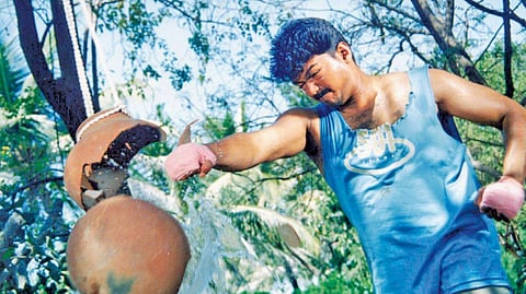 நான் வேணும்னா படிச்சு ஒரு டாக்டராகவோ, வக்கீலாவோ ஆயிடட்டுமா?