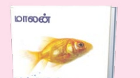 சுவையான ஆய்வு