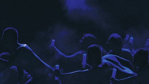 கிளைகளில் அமரும் பெருங்கால் பறவை